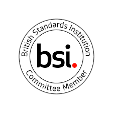 BSI Standards Users Award - Productivity logo